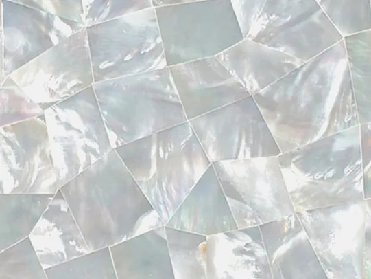 Detail of Pinctada Maxima mother of pearl: angular pieces with a bright polish