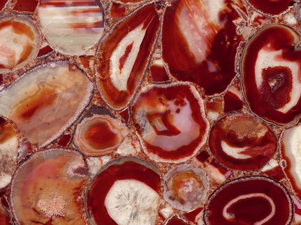 Close-up of red agate: red rings around cream centers on a burgundy background, with the gloss of the polish