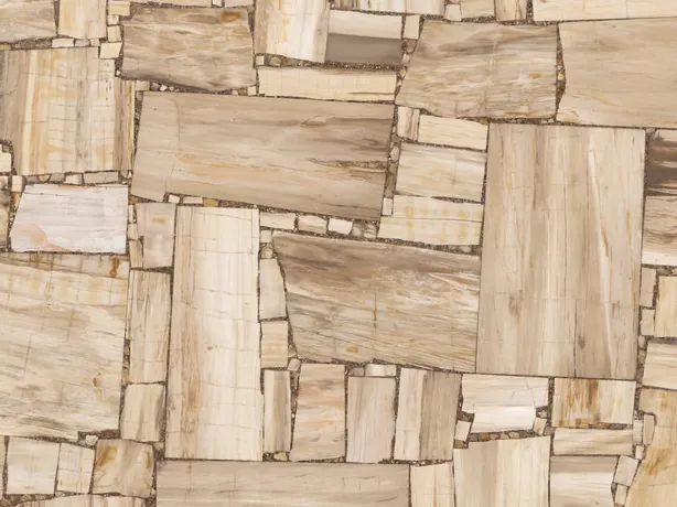 Detail of the rectangular pieces and their grain in White Petrified Wood, Cross-Cut