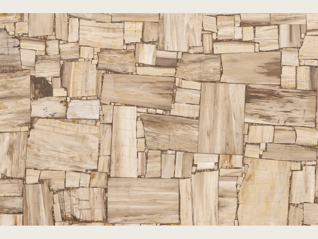 White Petrified Wood, Cross-Cut slab: beige and cream rectangles with visible grain
