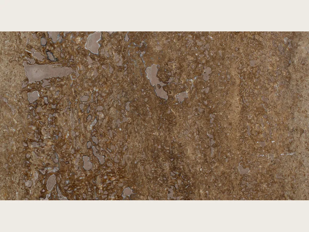 Brown Noce travertine slab: grayish brown with irregular light blotches and visible pores (another slab)