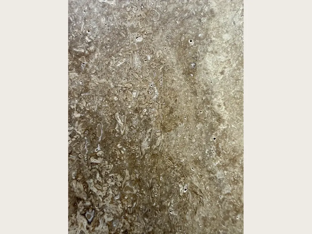 Brown Noce travertine slab: grayish brown with irregular light blotches and visible pores