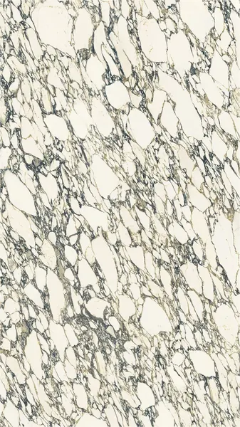 Mármol Arabescato Corchia, losa blanco natural