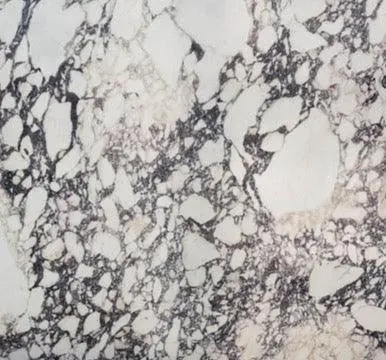 Mármol Breccia Capraia, losa blanco natural