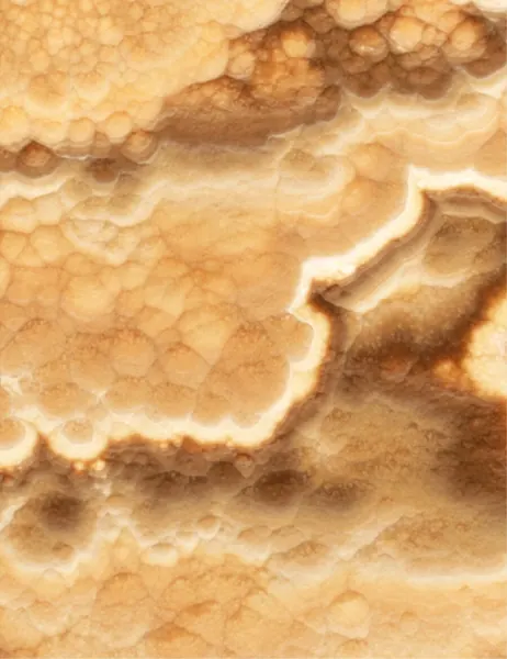 Ónix Dark Honey Onyx, losa beige natural
