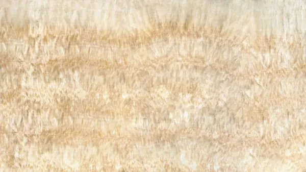 Ónix Onyx Honey, losa beige natural