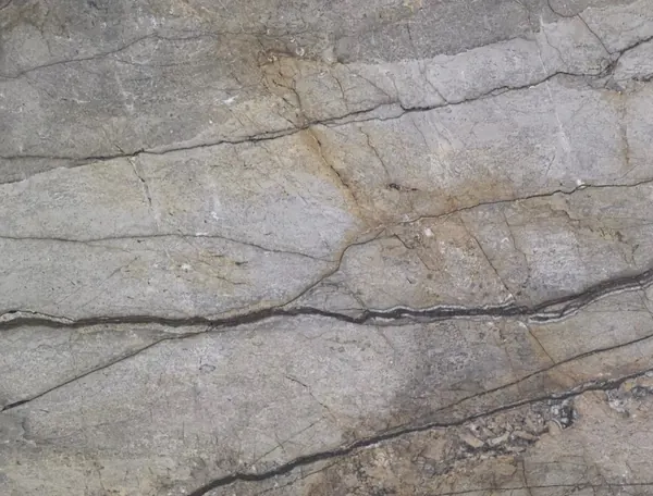 Granito Silver Roots, losa gris natural