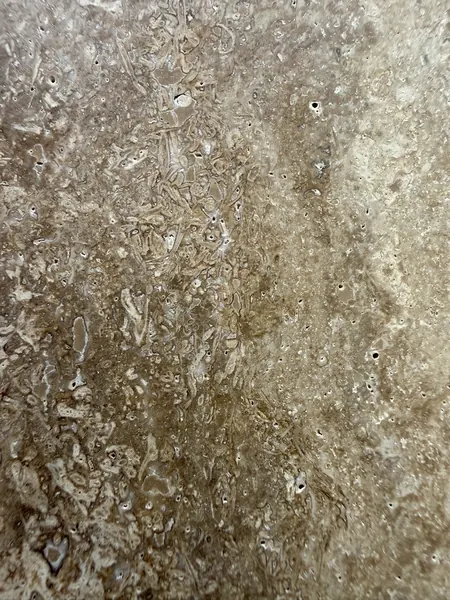 Travertino Noce, losa beige natural